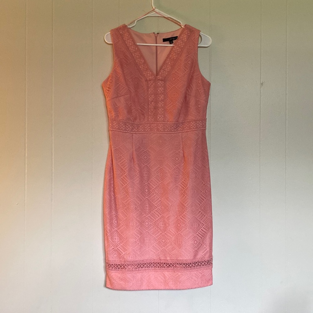 Elegant Pink Lace dress